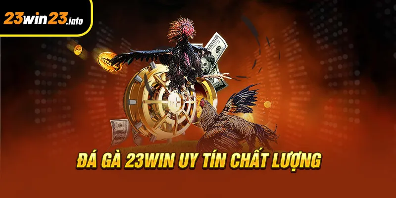 Đá gà 23win uy tín chất lượng Đá gà 23win uy tín chất lượng