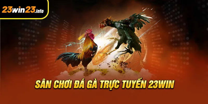 Sân chơi đá gà trực tuyến 23win Sân chơi đá gà trực tuyến 23win