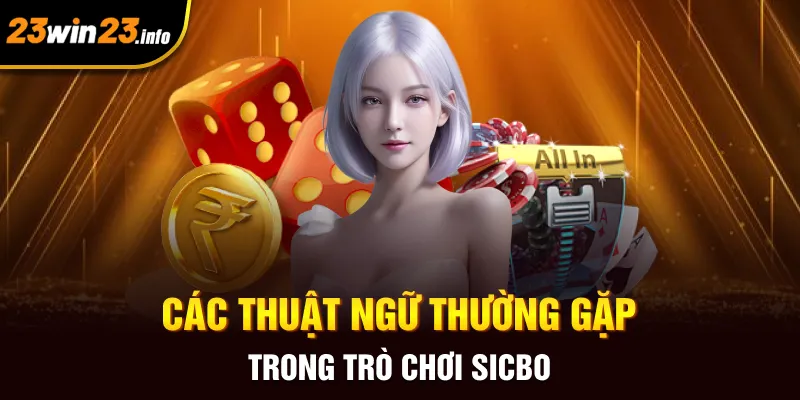 Các thuật ngữ thường gặp trong trò chơi sicbo Các thuật ngữ thường gặp trong trò chơi sicbo