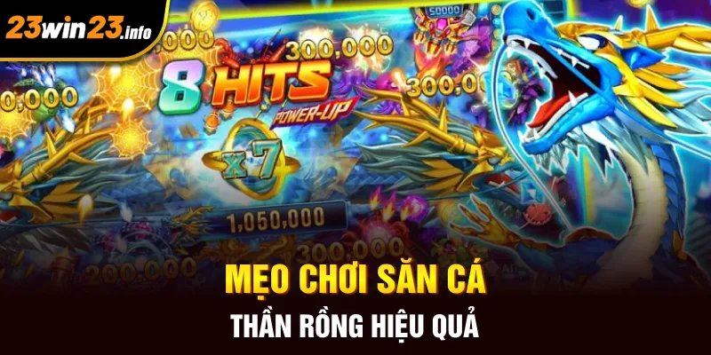 Mẹo chơi săn cá thần rồng hiệu quả Mẹo chơi săn cá thần rồng hiệu quả