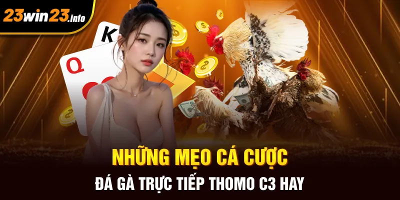 Những mẹo cá cược đá gà trực tiếp Thomo C3 hay Những mẹo cá cược đá gà trực tiếp Thomo C3 hay