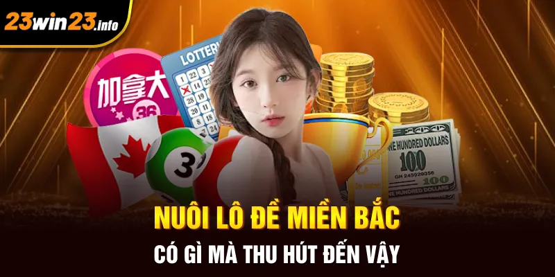 Nuôi lô đề miền Bắc có gì mà thu hút đến vậy Nuôi lô đề miền Bắc có gì mà thu hút đến vậy