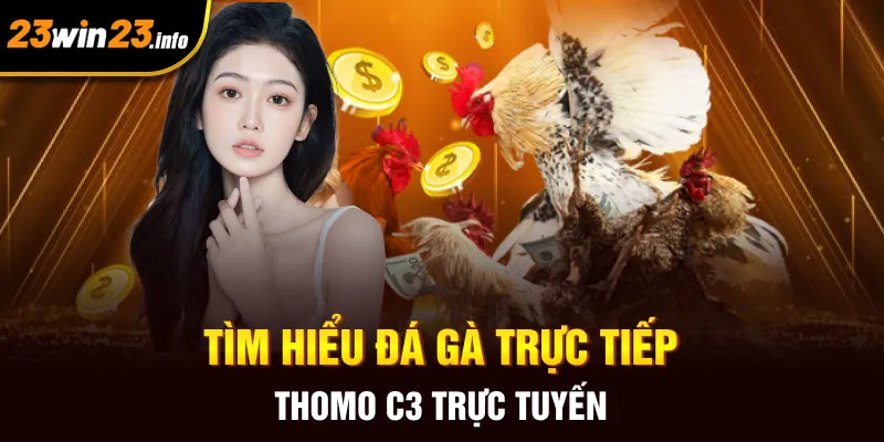 Tìm hiểu đá gà trực tiếp Thomo C3 trực tuyến Tìm hiểu đá gà trực tiếp Thomo C3 trực tuyến